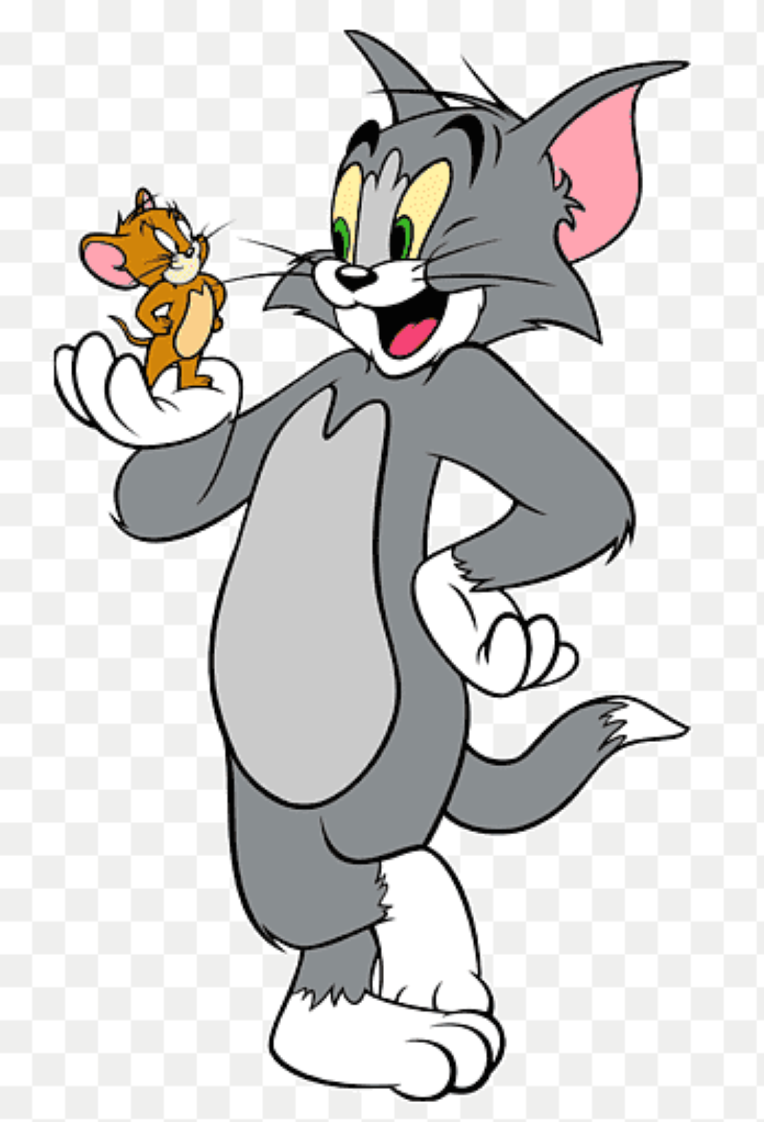 TOM N JERRY MALLOW 40G